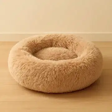 Kedi Minderi - Kuru Temizleme